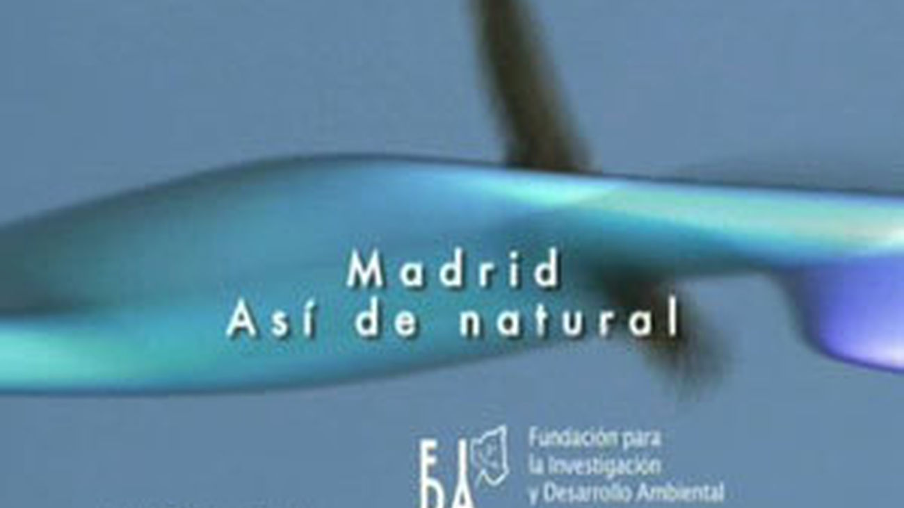 Logo madrid así de natural
