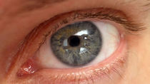 La ONCE colabora en un estudio para identificar los genes causantes del glaucoma