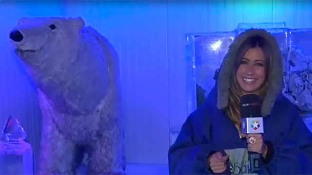 Ice Bar Madrid Un Autentico Iglu En Pleno Centro De Madrid