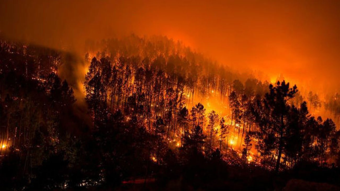 Resultado de imagen de incendios forestales galicia