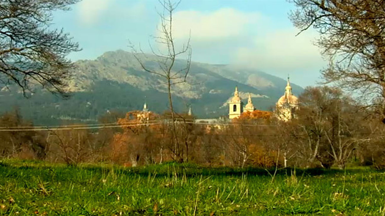 Los vecinos del Escorial autorizados a retirar gratuitamente leña y madera de pino de los montes escorialenses