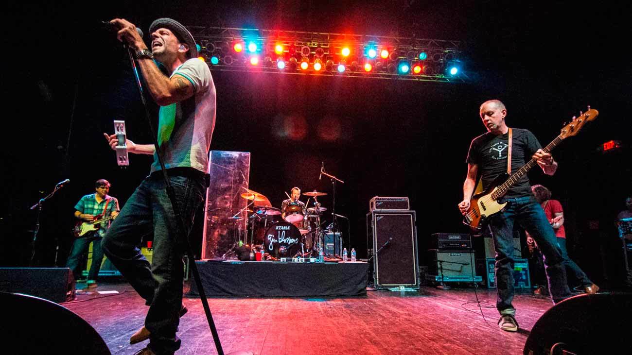 Gin Blossoms, en directo