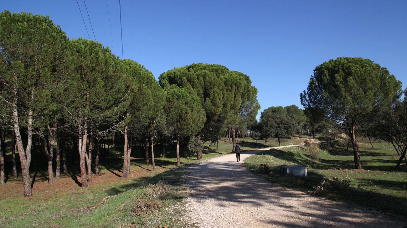 Direcciones a Monte Valdelatas (Madrid) en transporte público