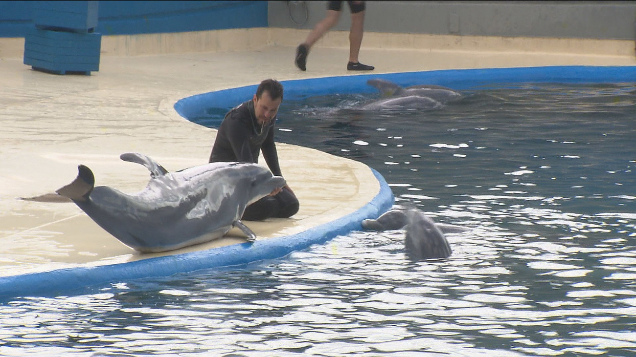 Investigan al Zoo Aquarium de Madrid por un supuesto maltrato animal