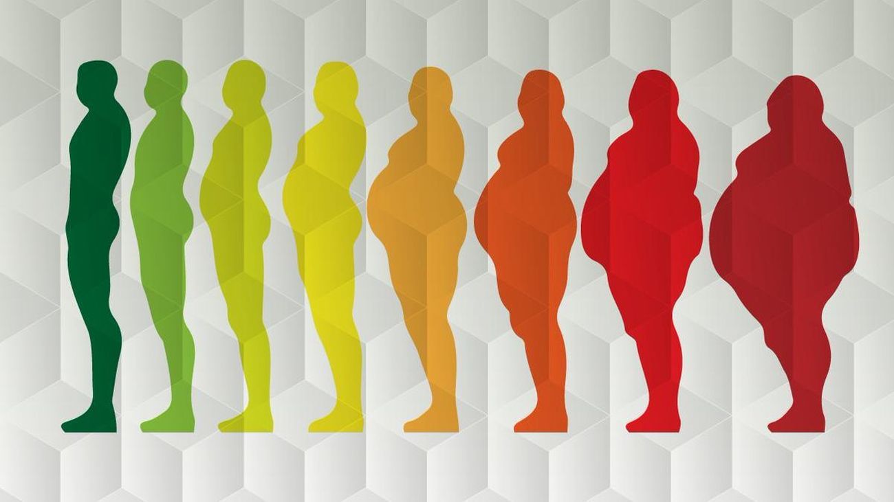 Resultado de imagen para obesidad