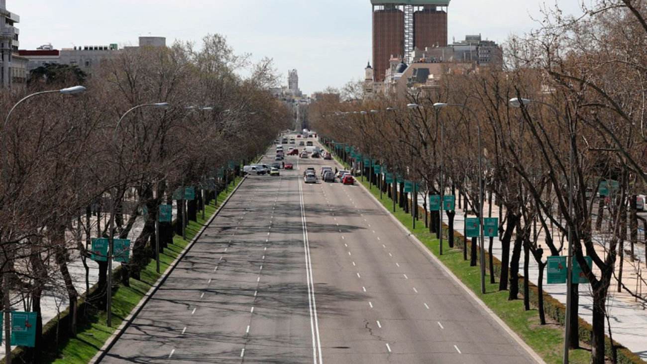 Árboles en el Paseo de la Castellana de Madrid