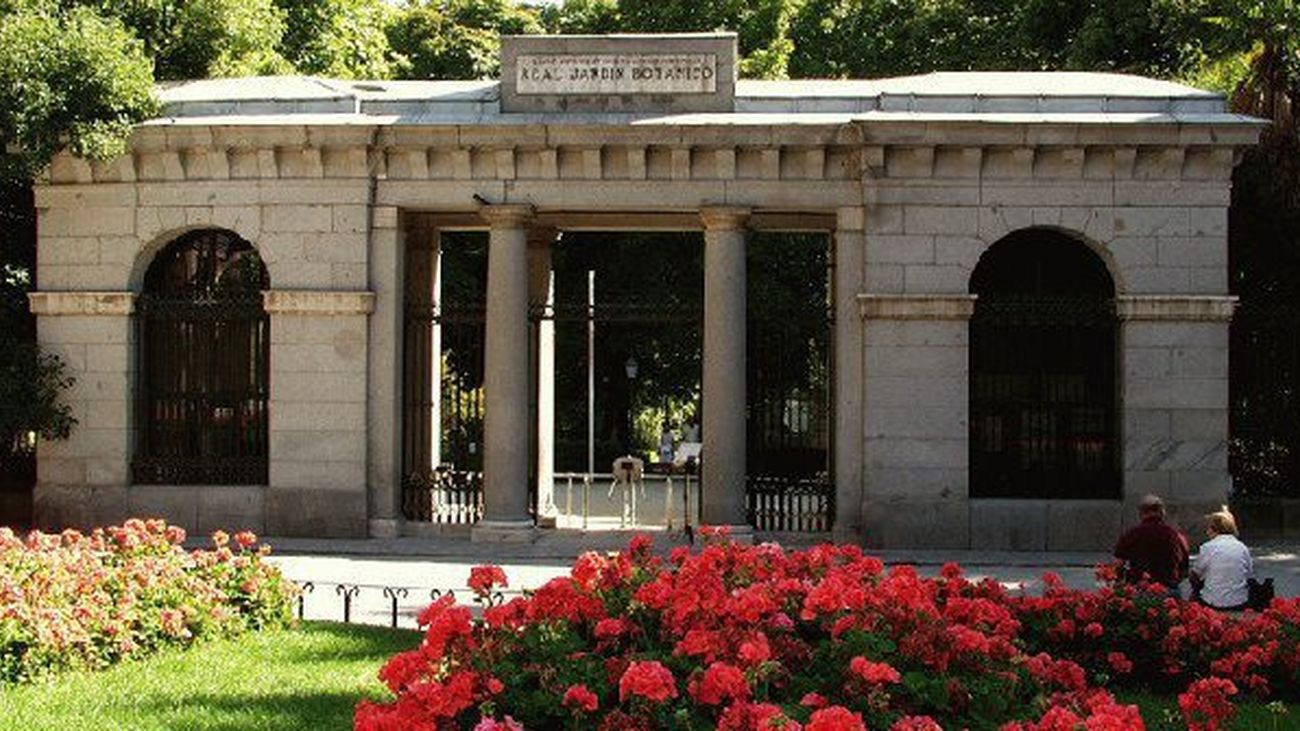 Descubriendo Madrid con Roberto Macedonio: El Real Jardín Botánico