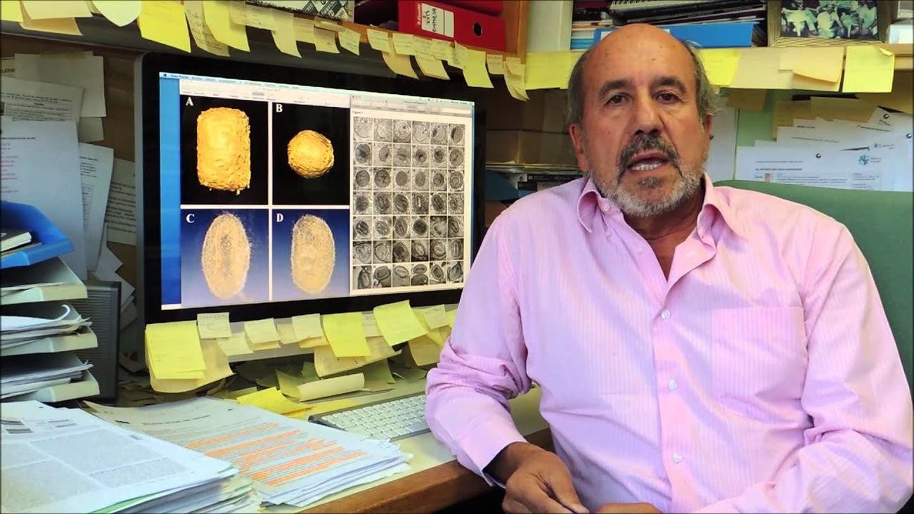 mariano esteban coronavirus
