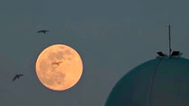 Las impresionantes imágenes de la Superluna Rosa