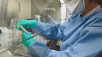 El último rebrote en China muestra un comportamiento del coronavirus diferente al de Wuhan