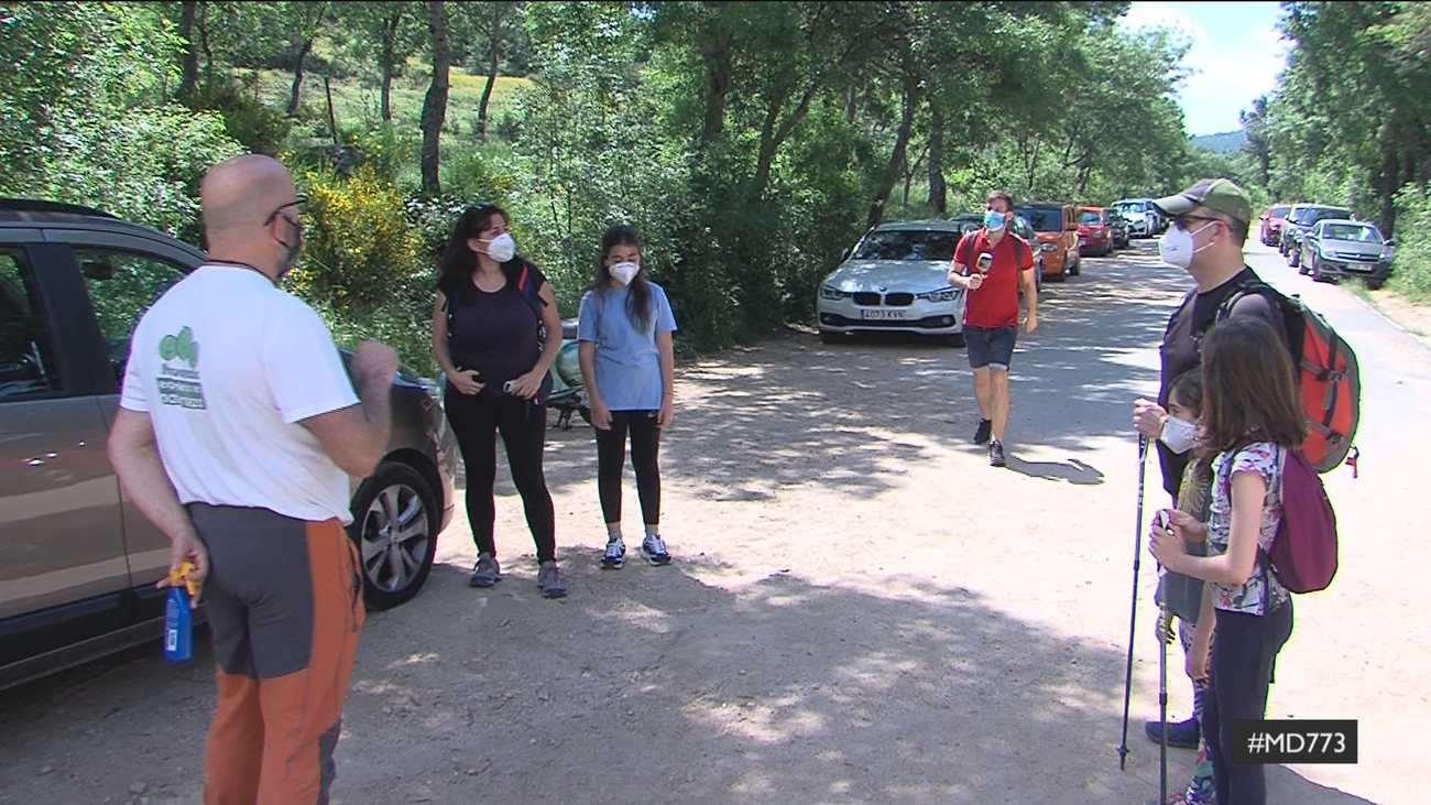 De excursión a la Sierra de Guadarrama