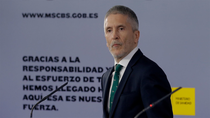 Grande Marlaska desvincula el cese de De los Cobos del informe sobre el 8-M