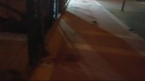 Ratas y heces en la parte trasera de un restaurante de comida rápida de Alcalá de Henares