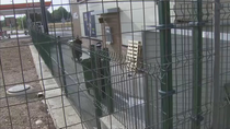 Ratas y heces en la parte trasera de un restaurante de comida rápida de Alcalá de Henares