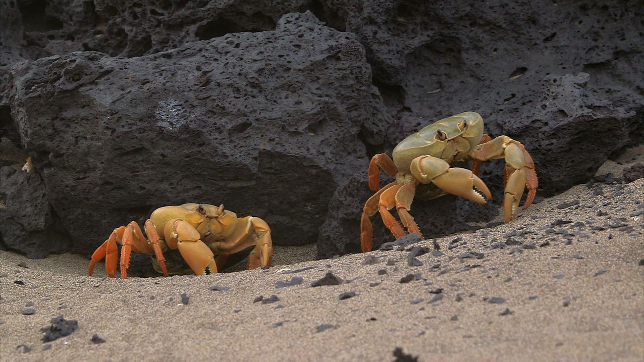 Escena del documental 'Atlántico'