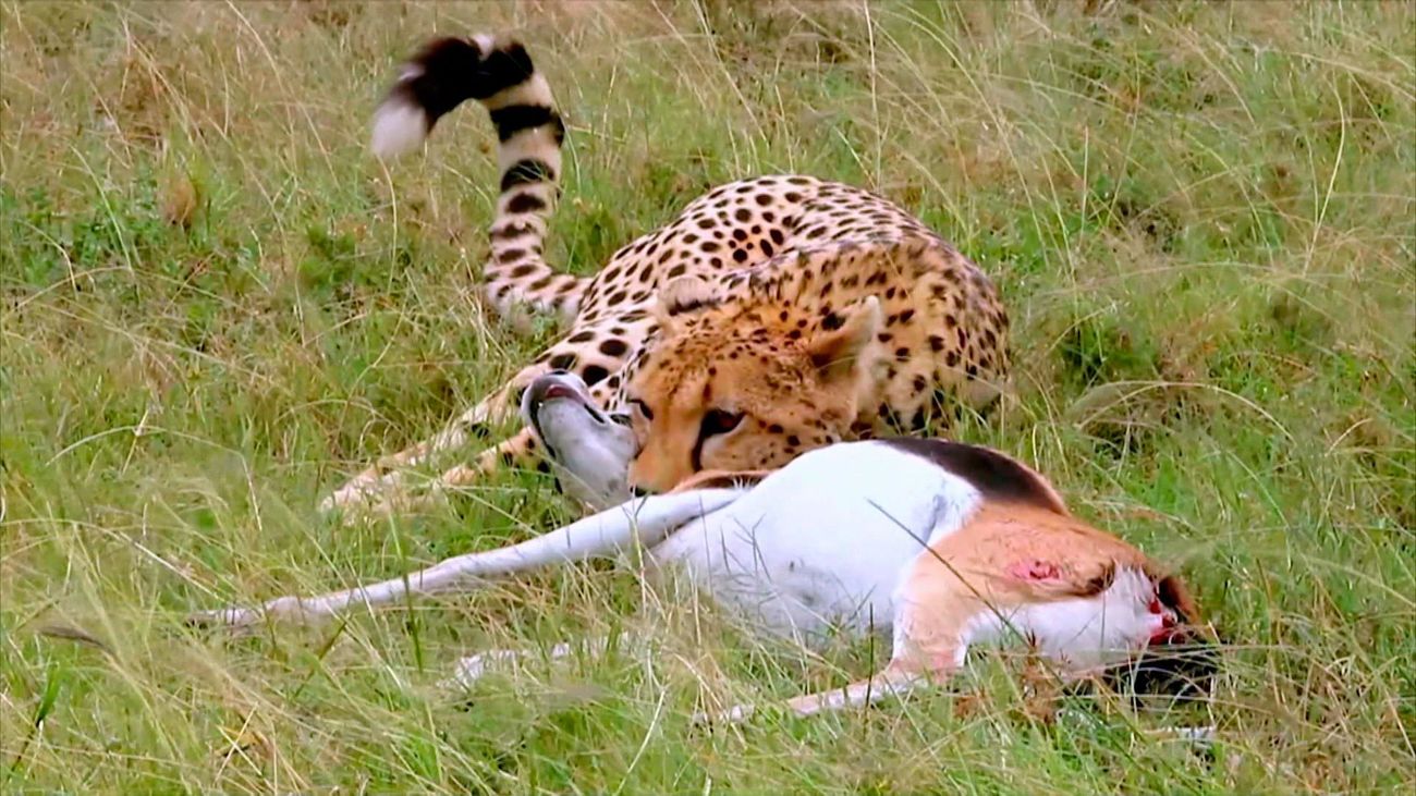 Escena del documental 'Ataque y defensa'
