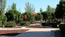 Madrid creará zonas de estudio y trabajo al aire libre con conexión wifi