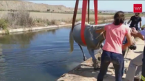 Rescatan un caballo de una acequia en San Martín de Valdeiglesias