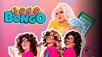 Más información sobre Loco Bongo