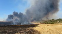 Desalojan dos urbanizaciones de Madrid y Guadalajara por un incendio de pastos y cereal en Valdepiélagos
