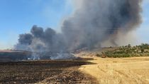 Desalojan dos urbanizaciones de Madrid y Guadalajara por un incendio de pastos y cereal en Valdepiélagos