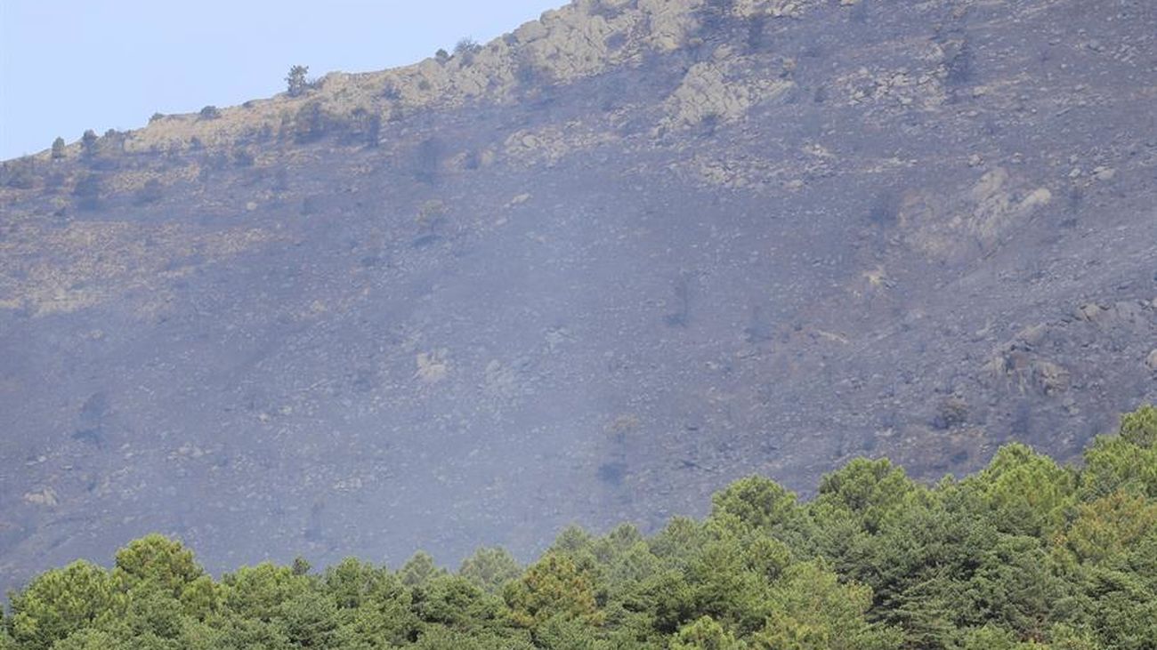 Terreno quemado en el incendio forestal de Robledo de Chavela