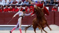 Madrid no autoriza los festejos taurinos previstos en San Sebastián de los Reyes, Aranjuez, Valdetorres y Navas del Rey