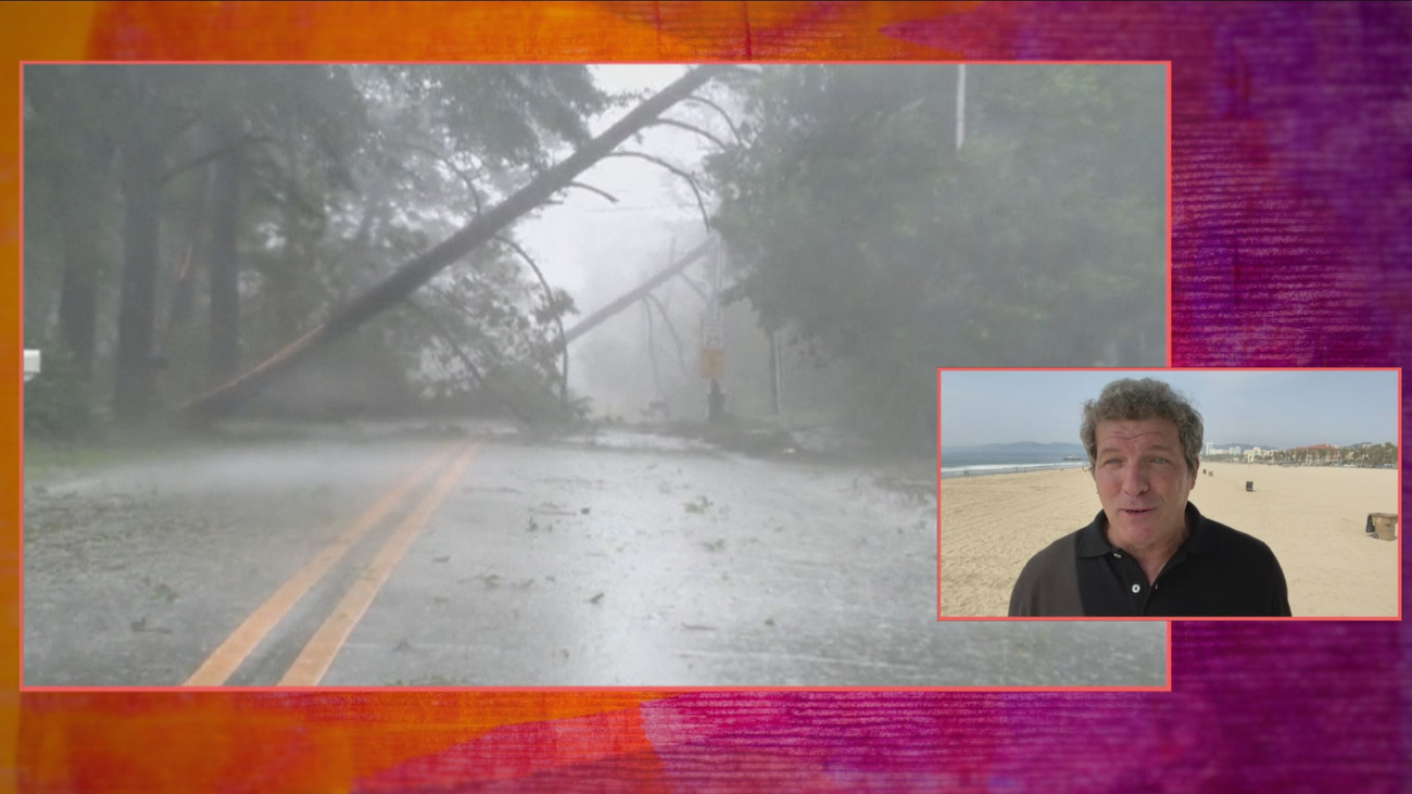¿Cómo se elige el nombre de los huracanes y las borrascas?