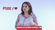 Lastra (PSOE) acusa a Ayuso de "trocear, destrozar y depredar" la sanidad pública
