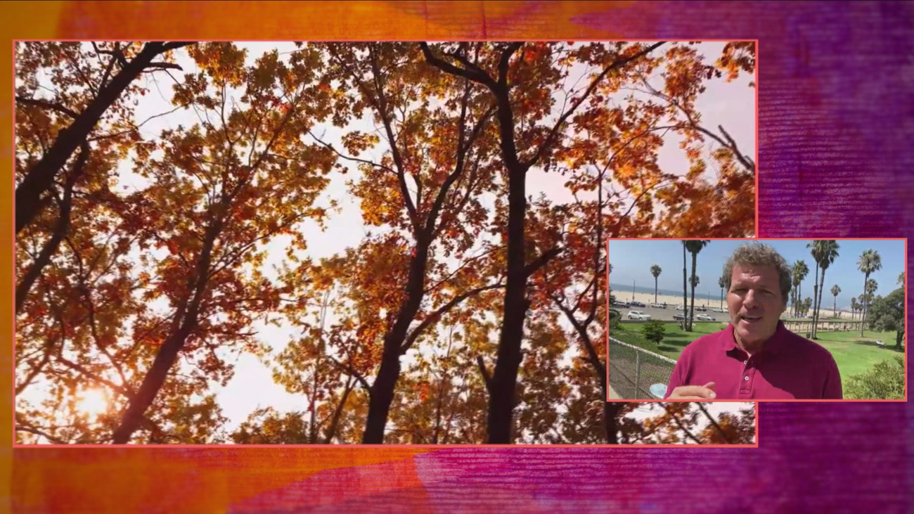 ¿Por qué el otoño nos hace engordar más?