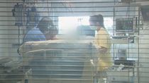 Sanidad informa de 37.889 nuevos contagios y 217 muertos más desde el viernes