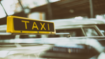 Llegan los taxis para viajar con tu mascota