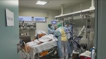 Sanidad registra 18.418 nuevos casos de Covid-19, con 8.304 contagios y 267 fallecidos en 24 horas
