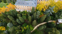 Este noviembre arrancan las primeras plantaciones del Bosque Metropolitano de Madrid