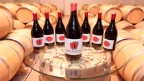 30 años de la denominación de origen Vinos de Madrid