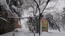 Madrid pide ayuda al Ejército para retirar la nieve de las calles