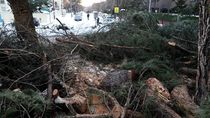 Madrid capital pide formalmente al Gobierno ser declarada zona catastrófica